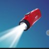 Torch Light