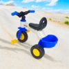 Royal Bike 3 Wheeler Ride On Tricycle or Scooter For Children for 1-4 Years
