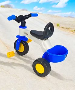Royal Bike 3 Wheeler Ride On Tricycle or Scooter For Children for 1-4 Years